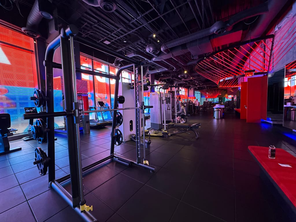 IMG 3528 | Feisworld