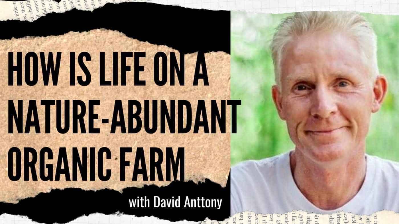 David Anttony