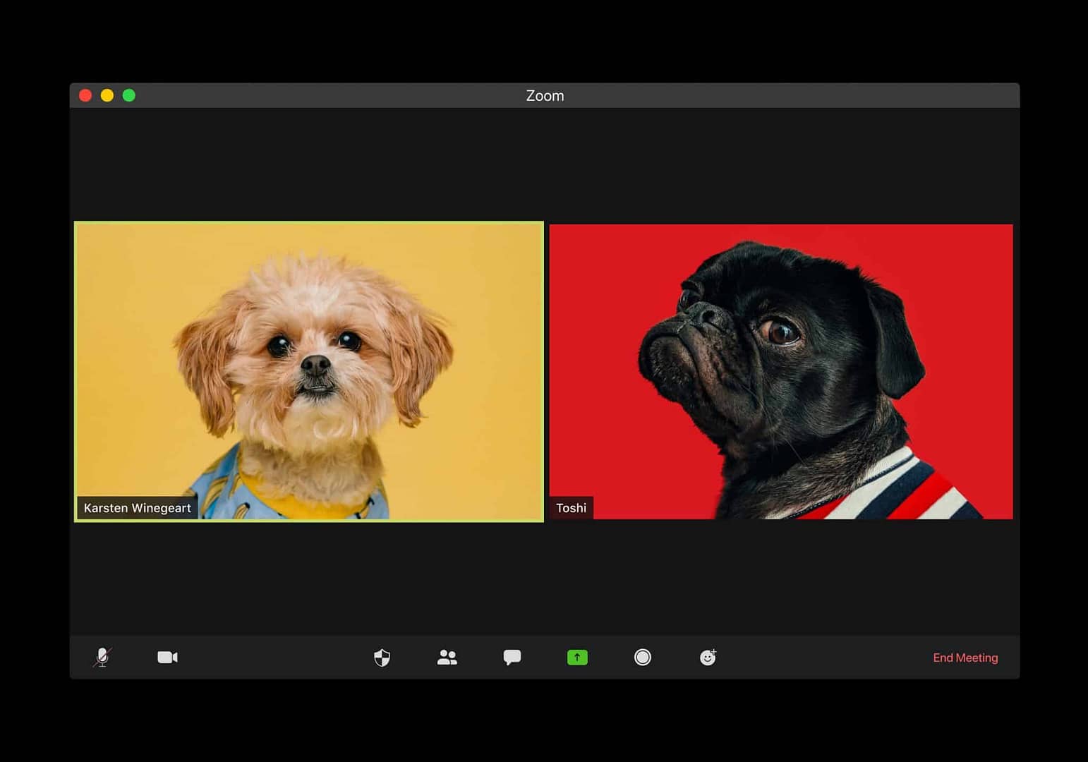 organize and host a successful livestream concert