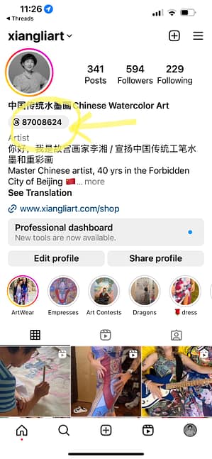 Instagram Threads Profile