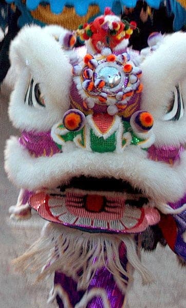 Lion dance costume | Feisworld