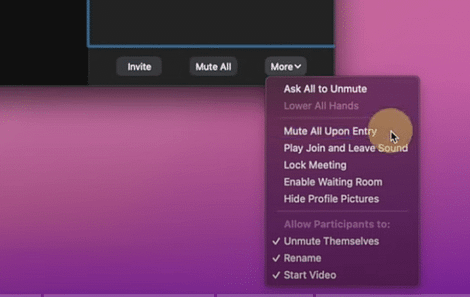 Zoom: Mute all participants upon entry