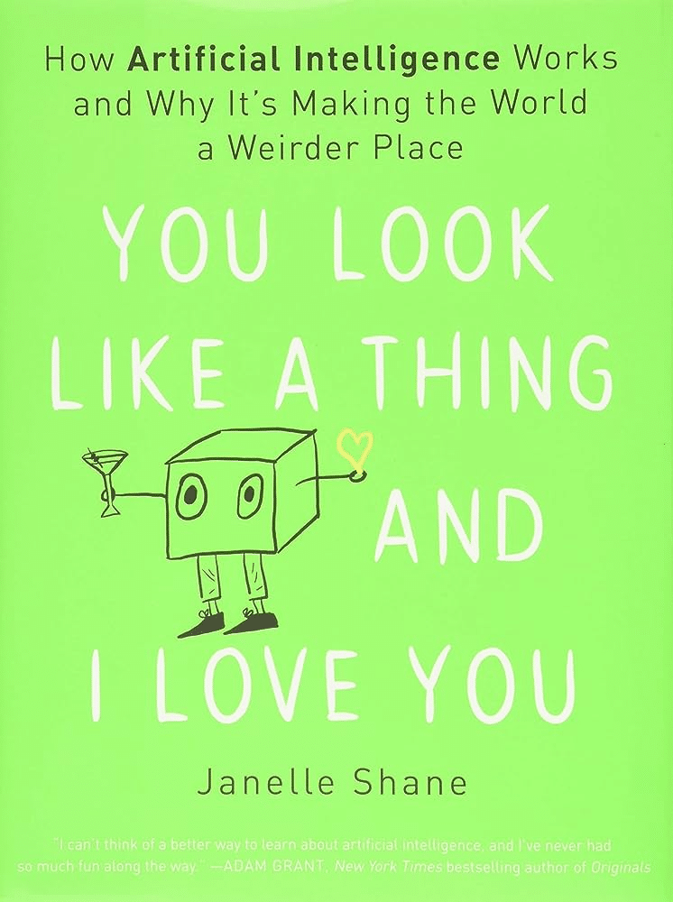You Look Like a Thing and I Love You: How AI Works and Why It's Making the World a Weirder Place (Janelle Shane)