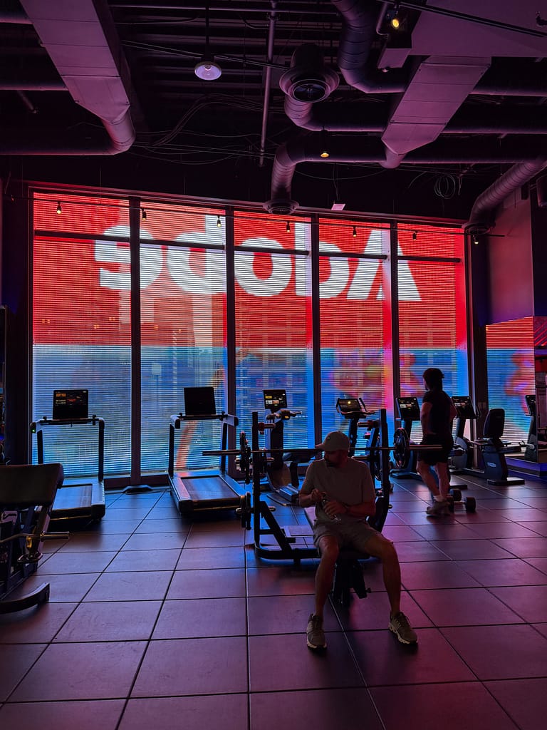 IMG 3529 | Feisworld