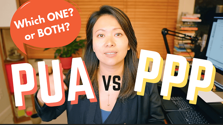 PPP and PUA – Which One I Chose and Why (for now) #PPP #PUA