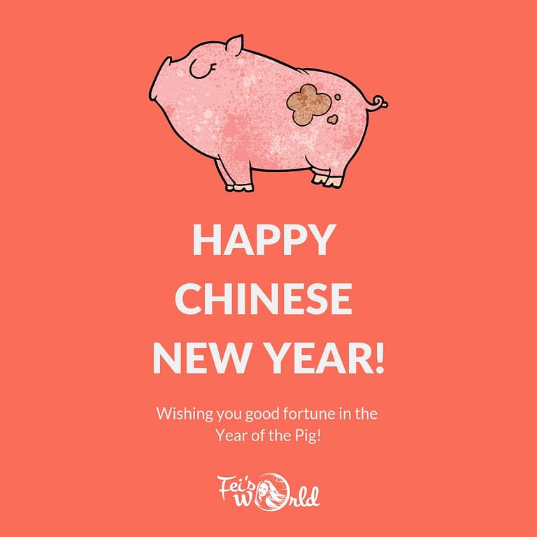 Welcome to the Year of the Pig!