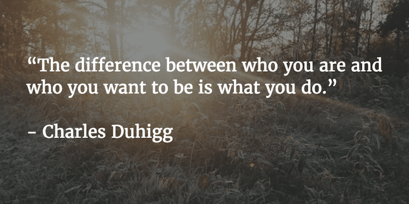 image asset | Feisworld