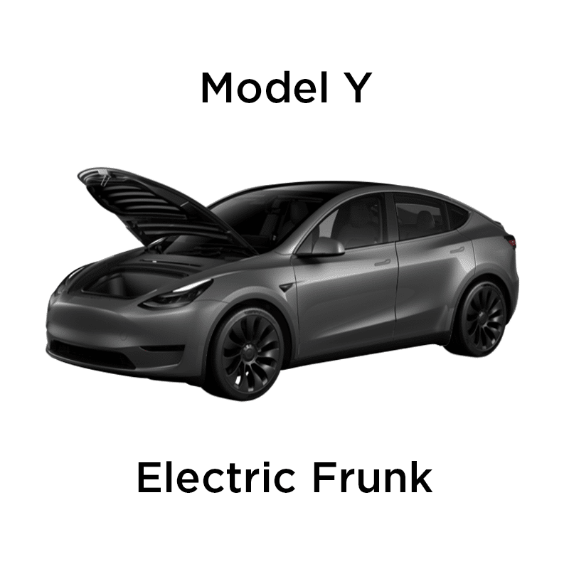 image 2 | Feisworld