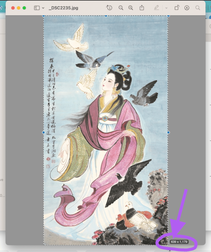 Canva Magic Eraser - How to remove part of an image